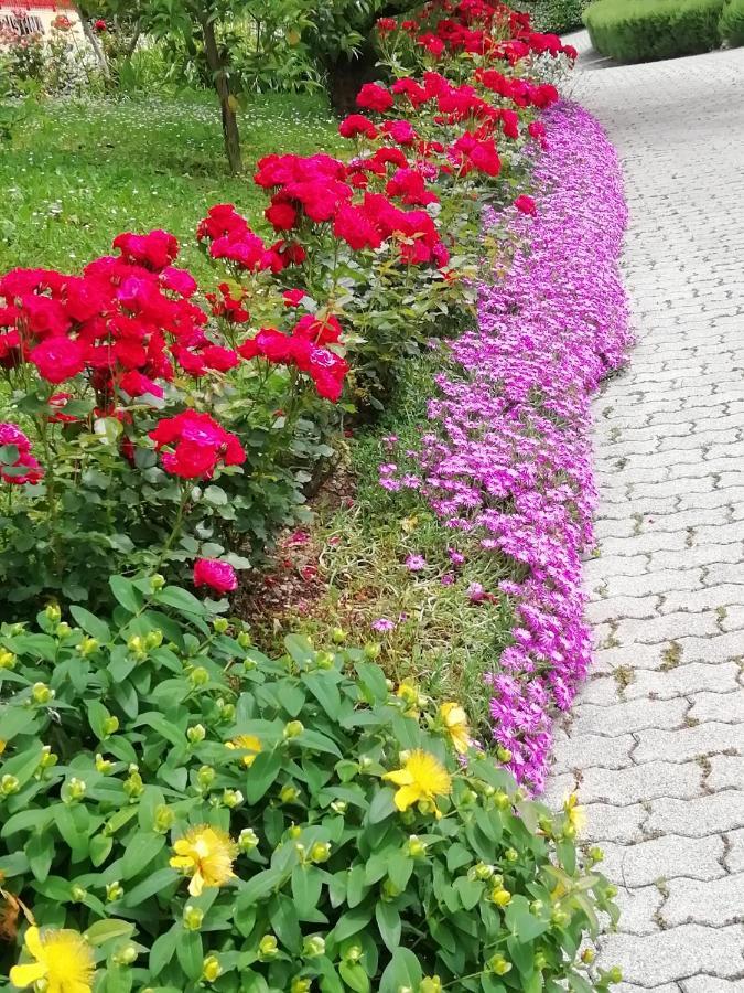 Alloggio Cristina 발도비아데네 외부 사진